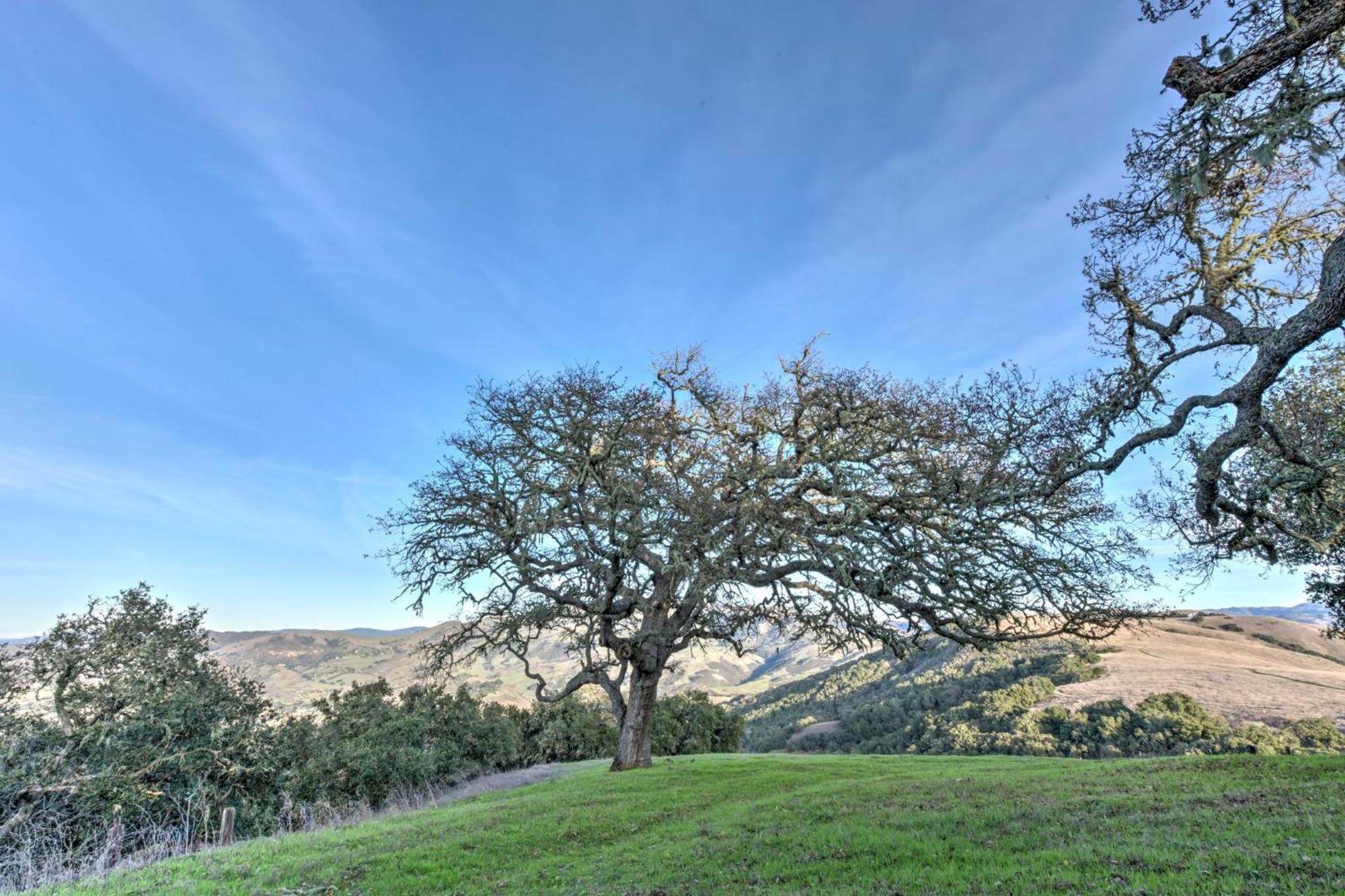 Lx37 Weathertop Ranch In Carmel Wine Country Carmel Valley Εξωτερικό φωτογραφία